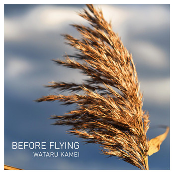Wataru Kamei - Before Flying