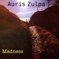 Auris Zulpa - Madness