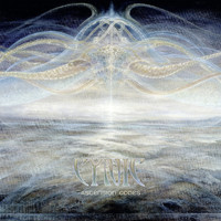 Cynic - In a Multiverse Where Atoms Sing