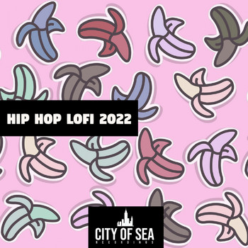 Various Artists - Hip Hop Lofi 2022 (Explicit)