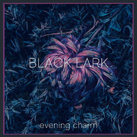 Black Lark - Evening Charm