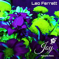 Leo Ferrett - Joy (Padapella Remix)