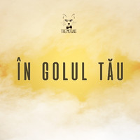 The Motans - În Golul Tău