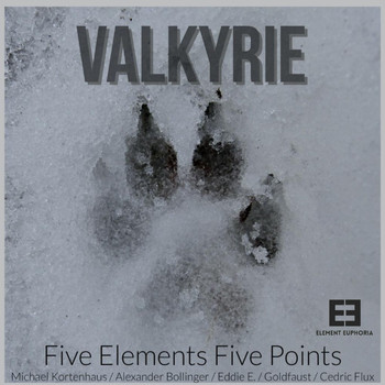 Various Artists - Valkyrie