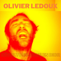Olivier Ledoux - Révoltons-nous en Dior