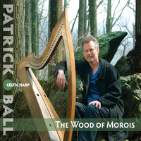 Patrick Ball - The Wood of Morois