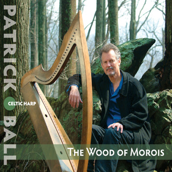 Patrick Ball - The Wood of Morois