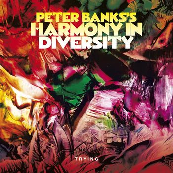 Peter Banks - Peter Banks's Harmony in Diversity: Trying