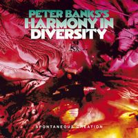 Peter Banks - Peter Banks's Harmony in Diversity: Spontaneous Creation