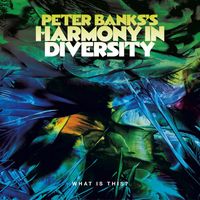 Peter Banks - Peter Banks's Harmony in Diversity: What is This?