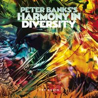 Peter Banks - Peter Banks's Harmony in Diversity: Try Again
