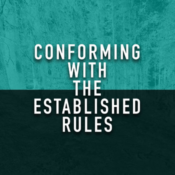 Various Artists - Conforming with the Established Rules