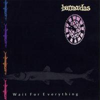 The Barracudas - Wait For Everything