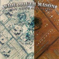 Wide Mouth Mason - Shot Down Satellites