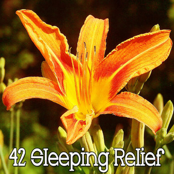Deep Sleep Relaxation - 42 Sleeping Relief