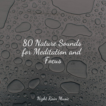 Exam Study Classical Music, Forest Soundscapes, Deep Sleep Music Academy - 80 Nature Sounds for Meditation and Focus