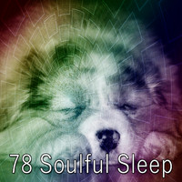 Sleep Baby Sleep - 78 Soulful Sleep