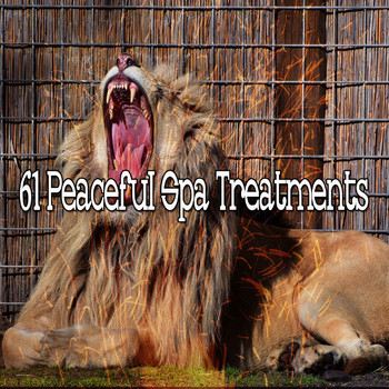 White Noise Babies - 61 Peaceful Spa Treatments