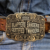 American Aquarium - Slappers, Bangers & Certified Twangers, Vol. 2