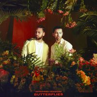 MAX & Ali Gatie - Butterflies (Stripped Version)