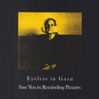 Eyeless In Gaza - Saw You In Reminding Pictures
