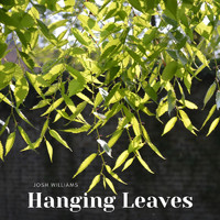 Josh Williams - Hanging Leaves