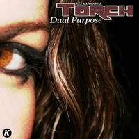 Torch - DUAL PURPOSE (K22 extended)