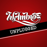 Wolfgang Ambros - Unplugged