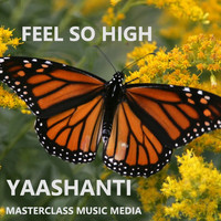 Yaashanti - Feel so High