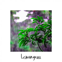 Lemongrass - In the Jungle
