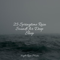 Massage Therapy Music, Massagem Guru, The Rain Library - 25 Springtime Rain Sounds for Deep Sleep