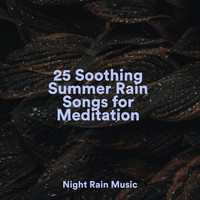 Soothing Chill Out for Insomnia, Wellness, Sleep Sounds of Nature - 25 Soothing Summer Rain Songs for Meditation