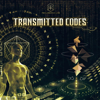 Various Artists - Transmitted Codes