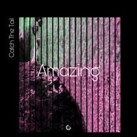 Catch The Tail - Amazing