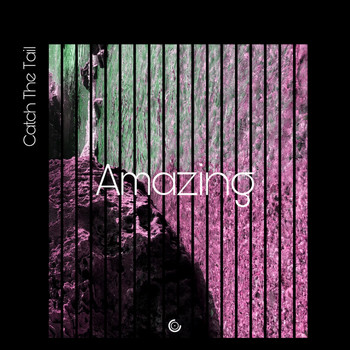 Catch The Tail - Amazing