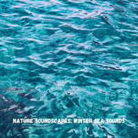 Nature Sounds Nature Music, Sounds of Nature Noise, The Outdoor Library - Nature Soundscapes: Winter Sea Sounds
