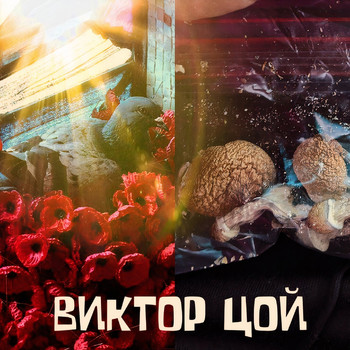 MAAR - Виктор Цой (Explicit)