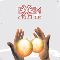 Exem - Cellule