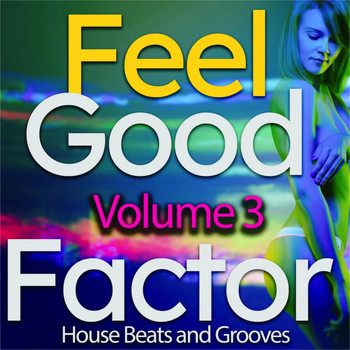 Various Artists - Feel-Good Factor, Vol. 3 (House Beats and Grooves)