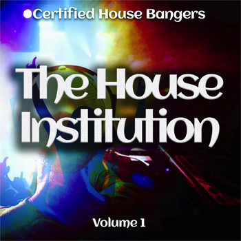 Various Artists - The House Institution, Vol. 1 (Certified House Bangers)