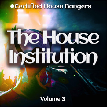 Various Artists - The House institution, Vol. 3 (Certified House Bangers)