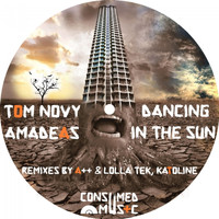 Tom Novy, Amadeas - Dancing In The Sun