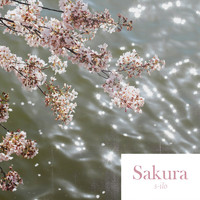 S-Ilo - Sakura