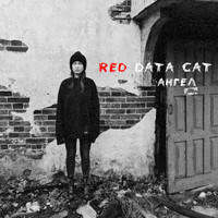 Red Data Cat - Ангел