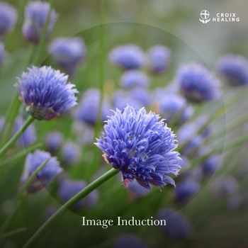 CROIX HEALING - Image Induction