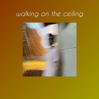 Casey - walking on the ceiling (Explicit)
