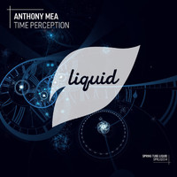Anthony Mea - Time Perception