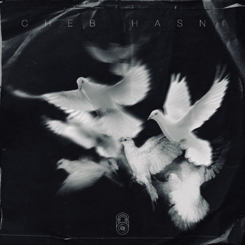 Cheb Hasni - La colombe