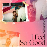 Nonsense - I Feel so Good