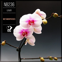iLNVR - Metamorphoses